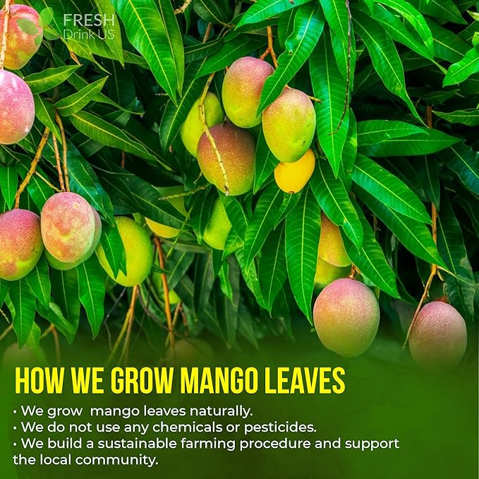 FreshDrinkUS, Premium 60 Mango Leaf Tea Bags, 100% Natural & Pure from Mango Leaves. Loose Leaf Herbal Tea. No Sugar, No Caffeine, No Gluten, Vegan.
