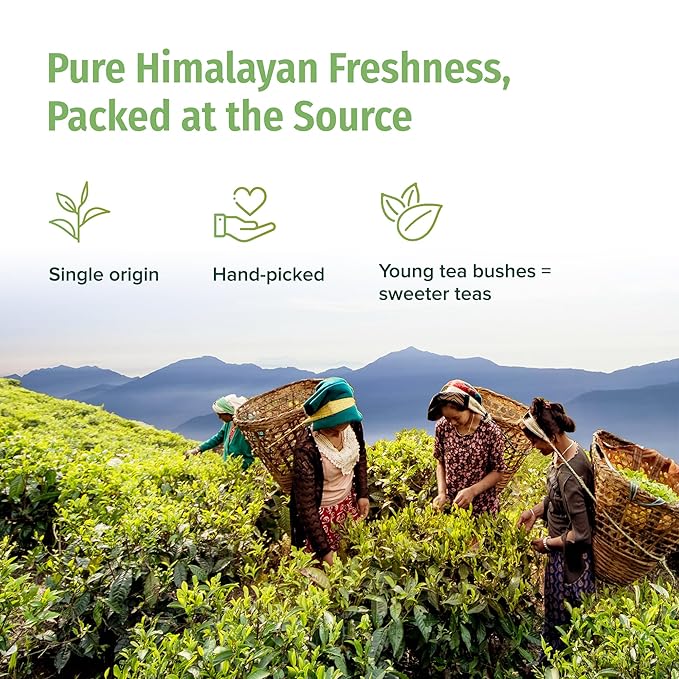NEPAL TEA Organic Green Tea Loose Leaf - Premium USDA Certified Organic Loose Leaf Tea - Single Origin from Award Winning Family Farm in the Himalayas - 3.5Oz / 100g (Himalayan Mist)