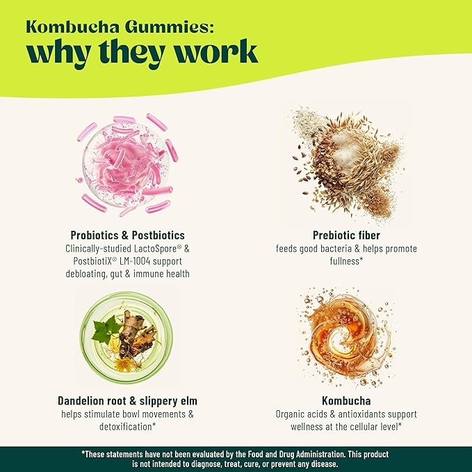 Probiotic Kombucha Gummy - Prebiotics, Probiotics, Postbiotics, Fiber Supplement, Slippery Elm, Dandelion Root, MCT Oil, for Bloating, Gut Health - Probiotics for Women and Men