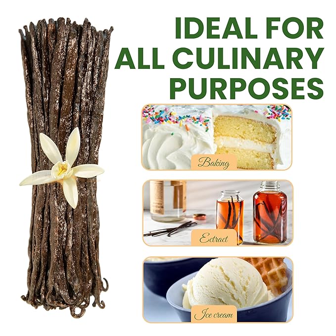 10 Count Organic Madagascar Vanilla Beans – Grade A Bourbon Pods | Gourmet Whole Vanilla Beans for Baking, Cooking, Extract Making | Rich Aroma, Premium Flavor, Non-GMO, Vegan