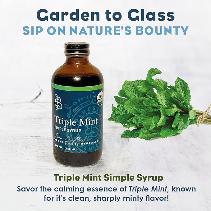 Bluestem Botanicals Organic Triple Mint Simple Syrup, 8 oz, Cocktail and Mocktail Mixer for Drinks, Non-Alcoholic, Peppermint, Spearmint, Chocolate Mint