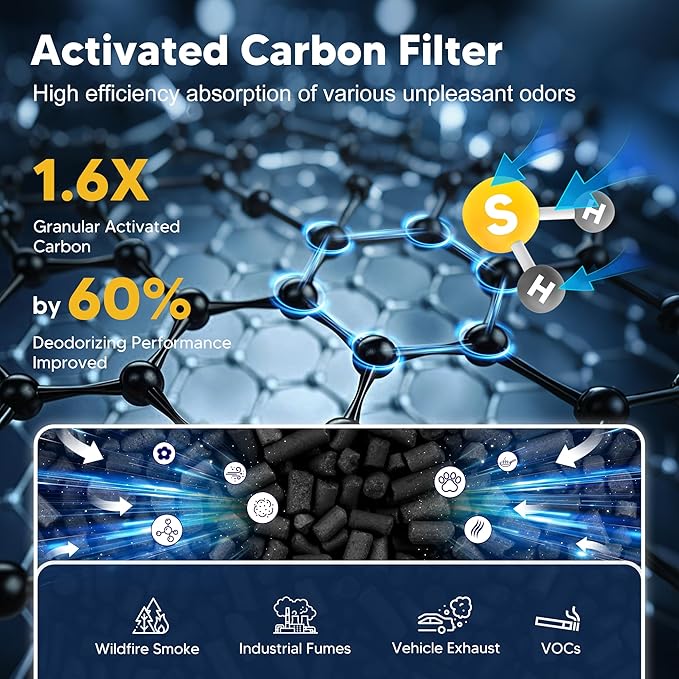 116130 Smoke Remover Replacement Filter H for Winix 5500-2 AM80 Plasmawave Air Purifier, True HEPA Filter and Activated Carbon Filter Combo Pack, 2 Set, Black