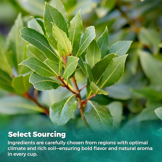 USA Fresh Bay Leaves Tea – 100% Pure, Wild-Harvested Herbal Loose Leaf Tea, Refreshing Forest Aroma, Caffeine-Free, Grown and Packed in the USA (15 Leaves)