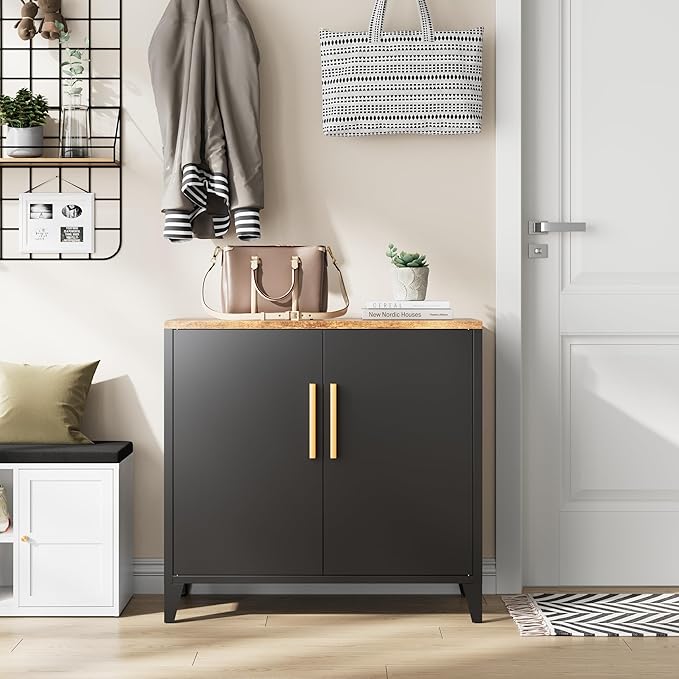 Letaya Metal Storage Cabinet with 2 Doors and Shelves 16" Dx 32" Wx30 H,Small Buffet Sideboard Short Cabinet for Kitchen Dining,Office Credenza Locker Modern Coffee Bar,Entryway Bathroom(Black)