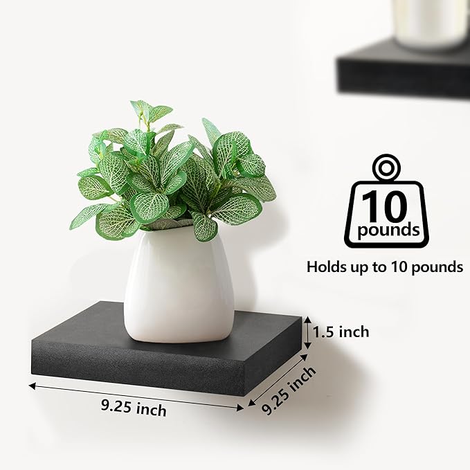 Sorbus Square Floating Shelf for Wall - 4 Small Shelves with Invisible Mounting Brackets for Living Room Decor, Bedroom, Bathroom Decor, Home & Kitchen - 9" Wall Shelf to Display Photos Trophies