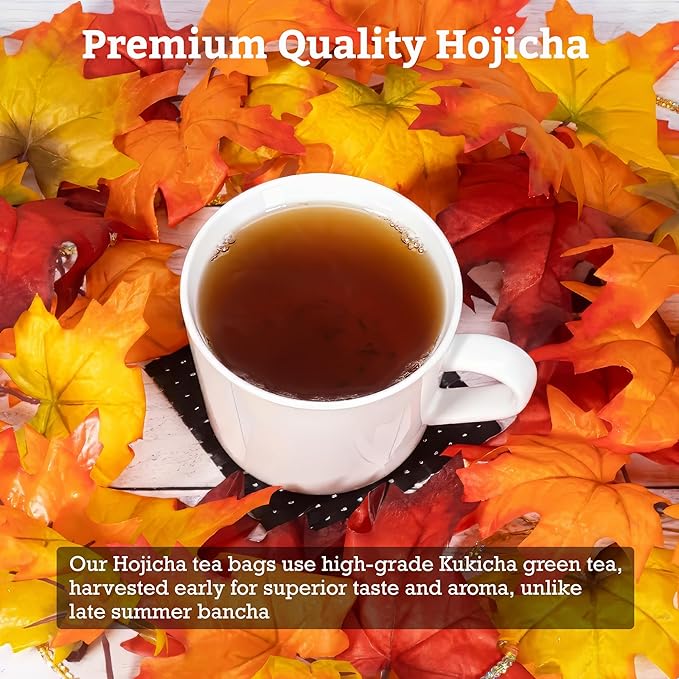 SUGIMOTO TEA Japanese Hojicha Roasted Green Tea Bags 20 Count Pack of 1