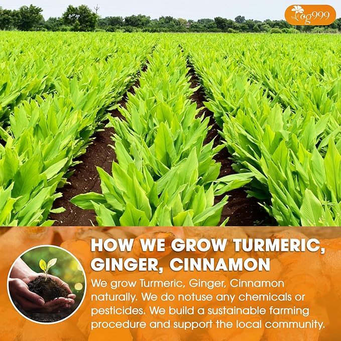 TOG999, Premium 12oz Ginger Turmeric Cinnamon Loose Leaf Herbal Tea. Improve Digestion, Support Brain, Weight, Skin and Sleep. Premium Quality Spiced Blend. No Sugar, No Caffeine, No Gluten, Vegan.