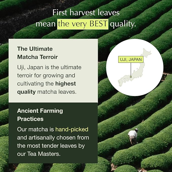 Encha Latte Grade Matcha Powder - First Harvest Organic Unsweetened Matcha Green Tea, From Uji, Japan (60g/2.12 Ounce) Premium Powder for matcha latte, smoothie | Caffeine, L-Theanine