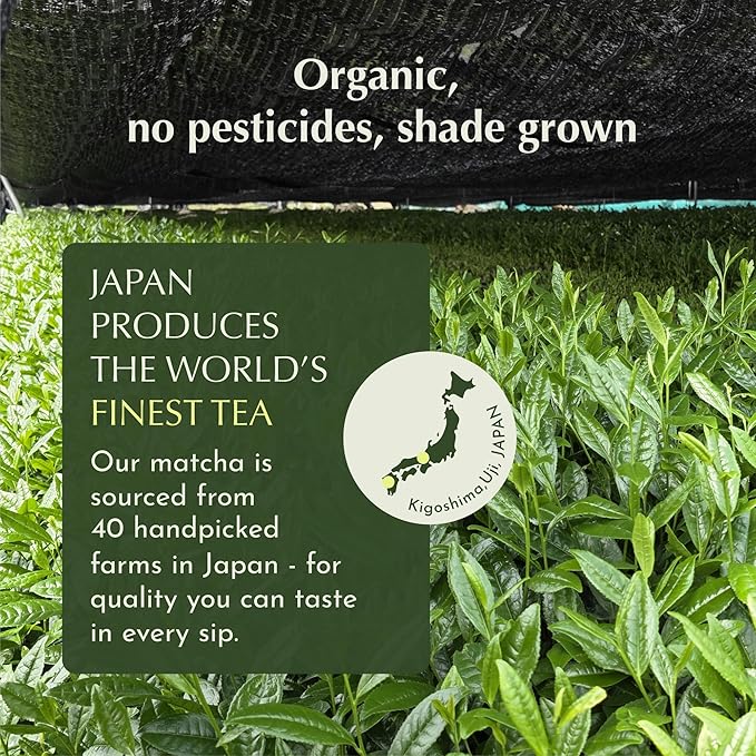 Encha Latte Grade Matcha Powder - First Harvest Organic Unsweetened Matcha Green Tea, From Uji, Japan (30G/1.06 Ounce) Premium Powder for matcha latte, smoothie | Caffeine, L-Theanine