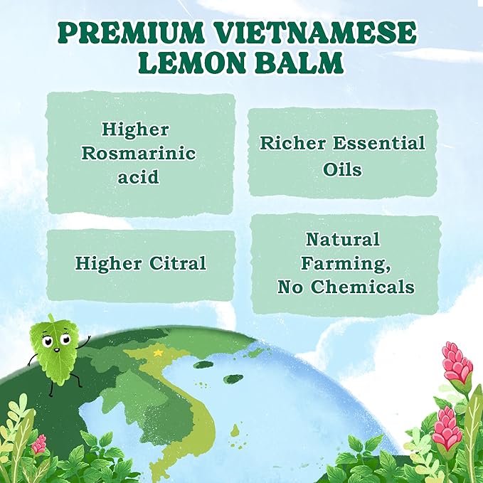 LoveinTea Lemon Balm Herbal Tea Bags, Caffeine-Free, 100% Natural Vietnamese Lemon Balm Blend, Plant-Based Pyramid Bags, 30 Count