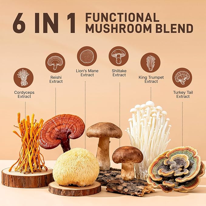 Mushroom Coffee, 60 Servings, Arabica Instant Coffee with 6 Adaptogenic Mushrooms (Lion’s Mane, Cordyceps, Turkey Tail & Other), Medium Roast Immune Boosting Coffee for Focus & Gut Health Support