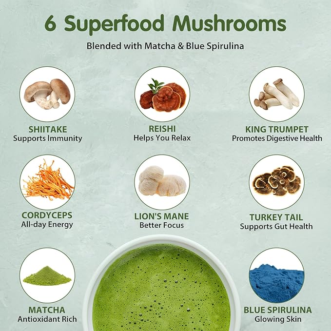 Mushroom Matcha, 6 Adaptogenic Mushrooms (Lion's Mane, Cordyceps, Turkey Tail & Other) Mixed with Ceremonial Grade Matcha for Focus, Energy, Immune and Digestion Health Support, 30 Servings
