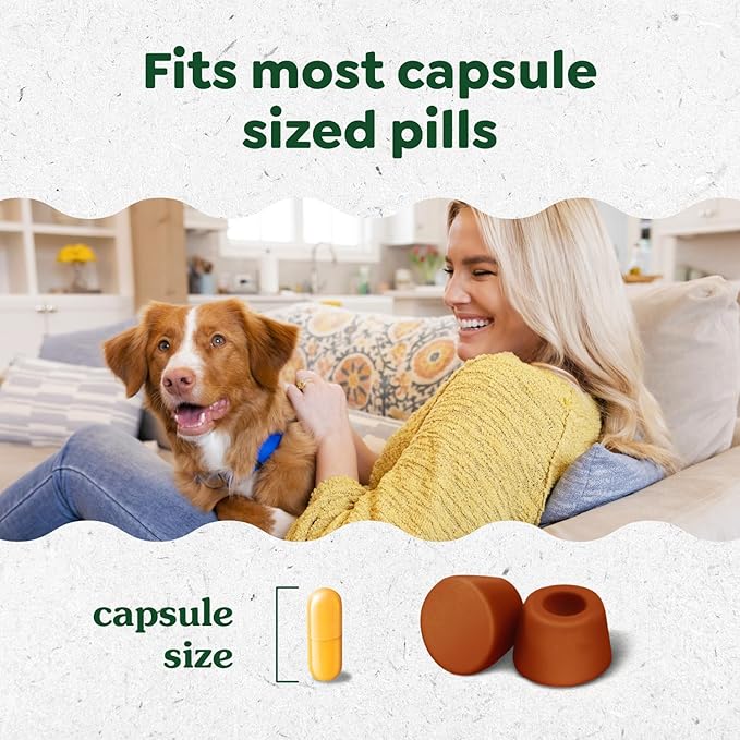 Greenies Pill Pockets for Dogs Large Size, Soft Dog Treats, Cheese Flavor, 15.8 oz. Pouch (60 Treats)