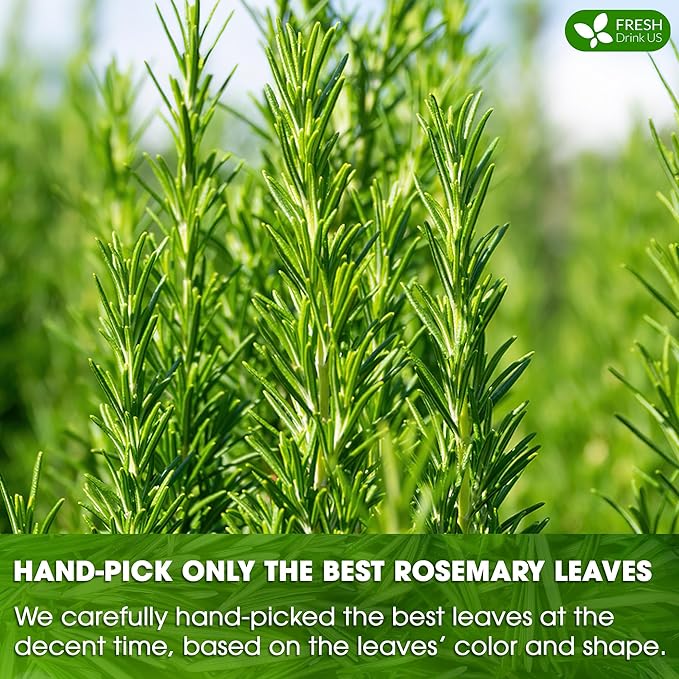 FreshDrinkUS, Premium 100 Rosemary Leaf Tea Bags, Made with 100% Natural Rosemary Dried Leaves, Pure Herbal Tea, No Additives, No Caffeine, No Gluten, Vegan.
