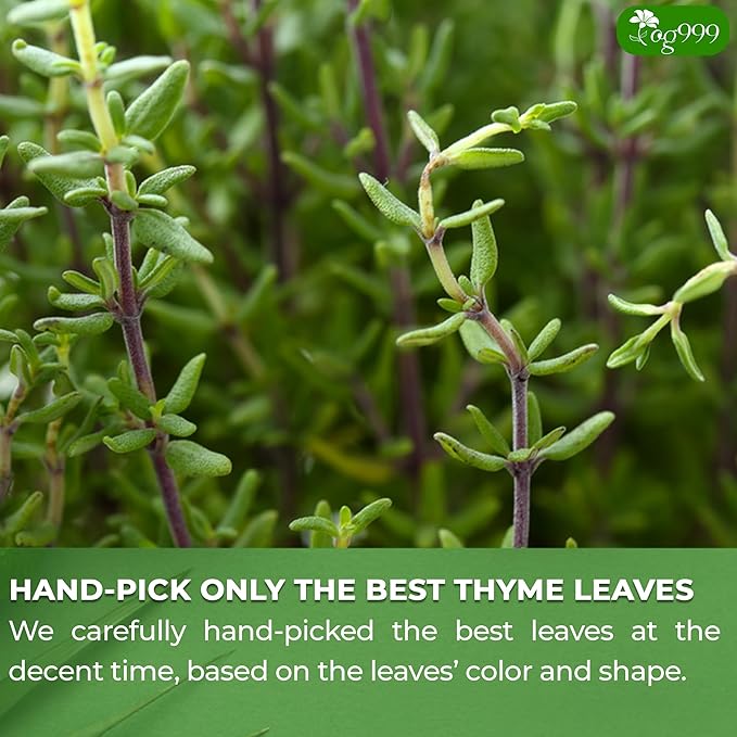 TOG999, Premium 120 Thyme Leaf Tea Bags, 100% Natural & Pure. Loose Leaf Thyme Herbal Tea. No Sugar, No Caffeine, No Gluten, Vegan.