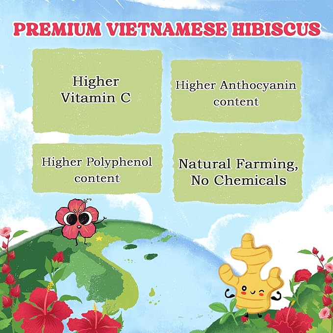 LoveinTea Hibiscus Herbal Tea Bags, 100% Natural Vietnamese Hibiscus Blend, Caffeine-Free, Plant-Based Pyramid Bags, 30 Count
