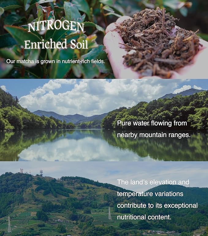 SOKYO ceremonial matcha powder series Rich and full-bodied flavor powdered green tea Japanese matcha (3.52oz / 100g, Fuji Ceremonial Q)