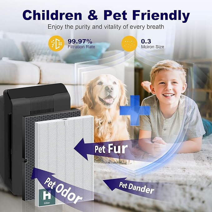 116130 Replacement Filter H for Winix 5500-2 AM80 Plasmawave Air Purifier, True HEPA Filter and Activated Carbon Filter Combo Pack, 3 Set