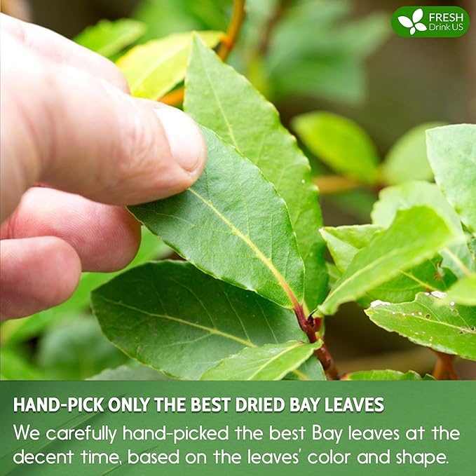 FreshDrinkUS, Premium 4.5oz Bay Leaf Powder, Unprocessed Ground Bay Leaves Dried, 100% Pure & Natural, Pure from Bay Leaves, Bay Leaf Spice, No Additives, No Gluten, Vegan.