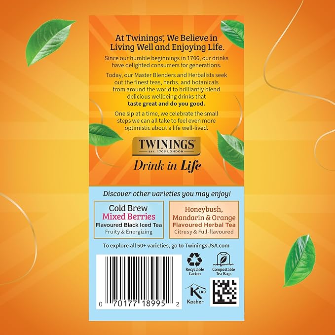 Twinings Peach Cold Brew Iced Tea Bags, 20 Count (Pack of 1), Unsweetened Flavoured Black Tea, Caffeinated, 20 Teabags