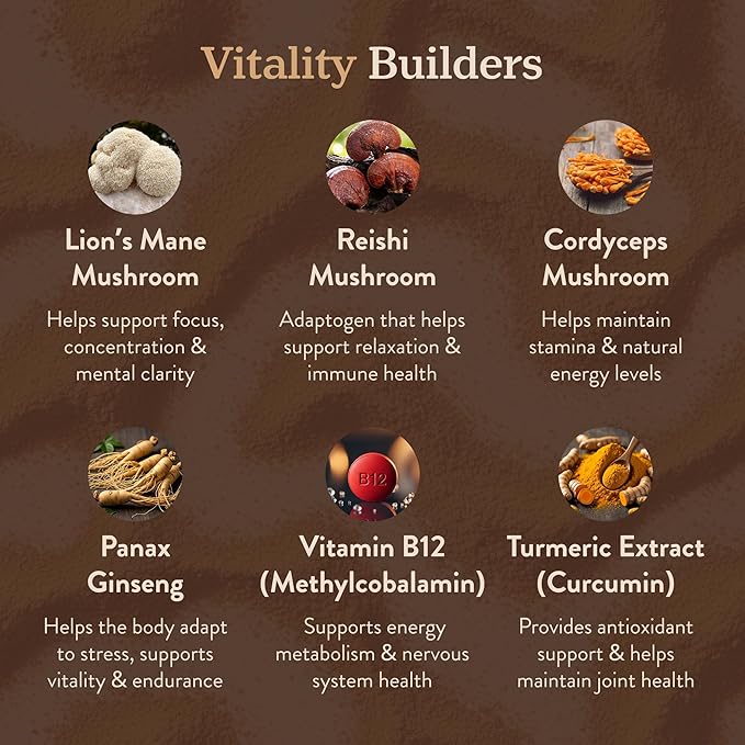 More. Longevity & Wellbeing Premium Mushroom Coffee Superfood – 7 Functional Mushrooms with Lions Mane Supplement, Reishi, Chaga & Ashwagandha Extract, Instant Coffee Alternative with Prebiotics and Essential Vitamins for Focus & Energy, Mocha