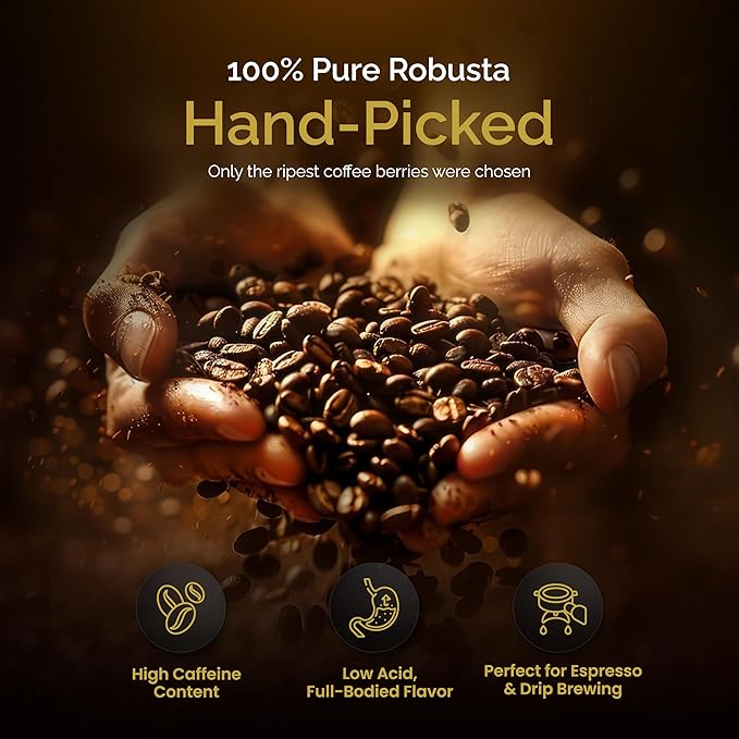 Birdee Robusta Coffee Beans - 16 oz, Medium Roast, Intense Bold Flavor, Hand Picked, Whole Bean for Fresh Grind, Vietnam Origin, Ideal for Espresso & Phin Filter, Meets Fine Robusta Standard