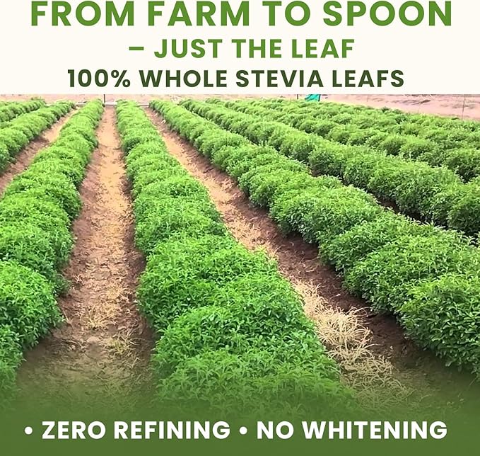 bixa BOTANICAL Stevia Leaf Powder | Stevia Rebaudiana | 200 Grams / 7 OZ | Natural Alternative of Unprocessed Sugar | Gluten Free, Non-GMO, Steam Treated, Vegan, 100% Pure.