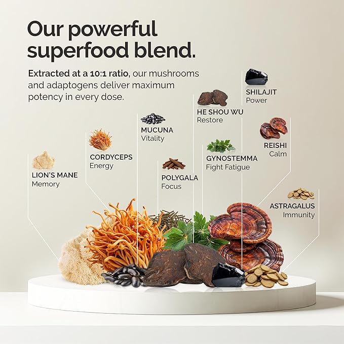 Cacao Mushroom Coffee Superfood Blend, 10X Concentrated Extract, with Lion's Mane, Reishi & Cordyceps, Energy & Focus Support, 30 Servings, Premium Supplement Powder