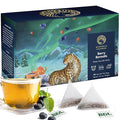 Blooms & Leopard Premium Green Tea Bags – Berry Borealis Blend with Hibiscus, Blueberries, Strawberries, & Spearmint – 20 Pyramid Tea Bags for Hot or Iced Tea