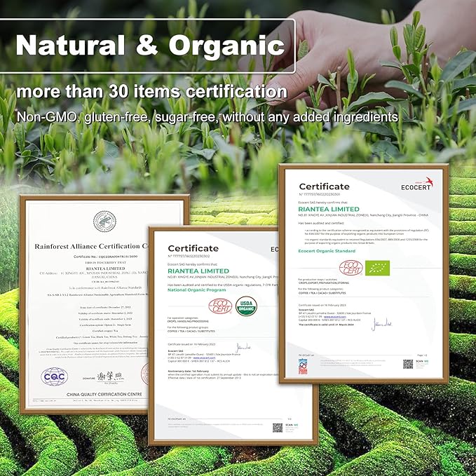RIANTEA Organic Prevernal Sencha Green Tea Bags - Low Caffeine, Cold & Hot Brew, Premium Quality from Award-Winning Plantation, Non-GMO, Biodegradable, Unsweetened, 100% Natural
