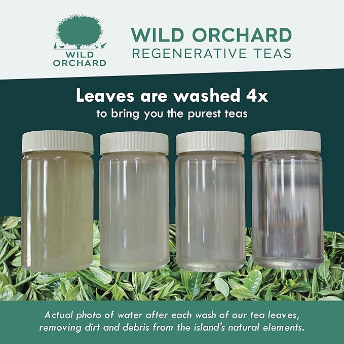 Wild Orchard Ayr Matcha Black from Jeju Island - Premium Tea - 100% Regenerative Organic Certified - Premium Grade Black Matcha Tea Powder Cultivated on Jeju Island in South Korea