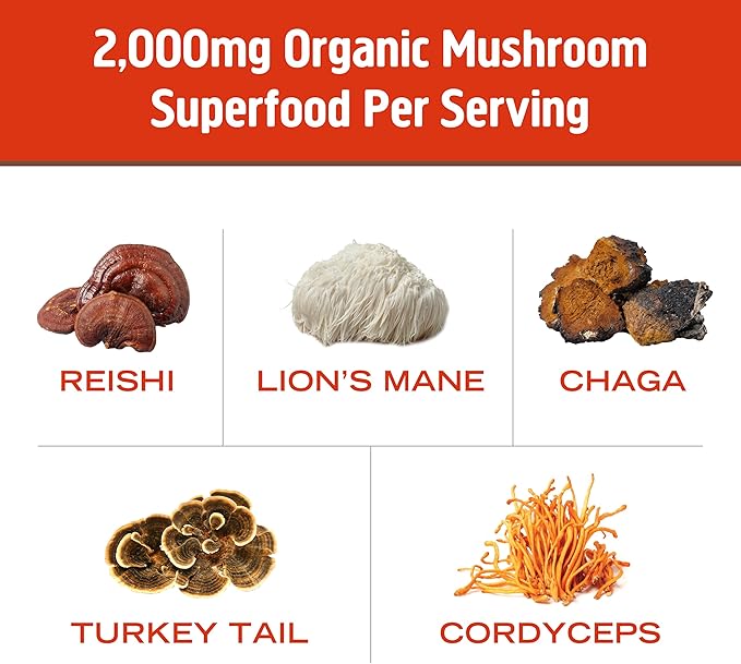 OM MUSHROOM SUPERFOOD Morning Energy Blend – Caffeine-Free Powder with Cordyceps, Lion’s Mane, Rhodiola & Vitamin D2 – Supports Energy, Focus & Endurance – 8.47 oz Canister (30 Servings)