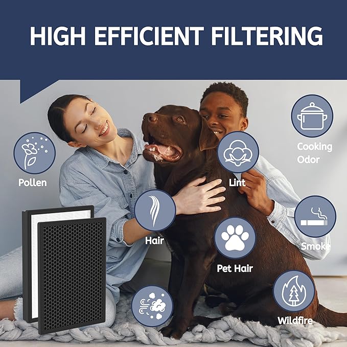 Nispira AP-B102 True HEPA Carbon Replacement Filter Compatible Alexapure Breeze Air Purifier 3049, 2 Packs