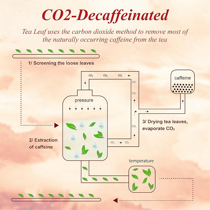 WT WEETEE Chocolate Hazelnut Decaf Black Tea Bags 50 Count, No Sugar, Nut-Free, Flavored CO₂ Decaffeinated Black Tea, Rich & Smooth Gourmet Dessert Tea