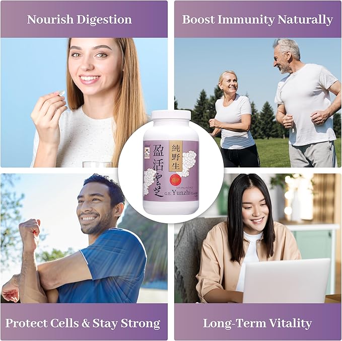 Turkey Tail Mushroom Capsules – Yunzhi Essence for Recovery, Health, and Wellness – Daily Immune and Digestive Support with Antioxidants – Pure Beta-Glucan Extract from Fruiting Bodies (60 Capsules)