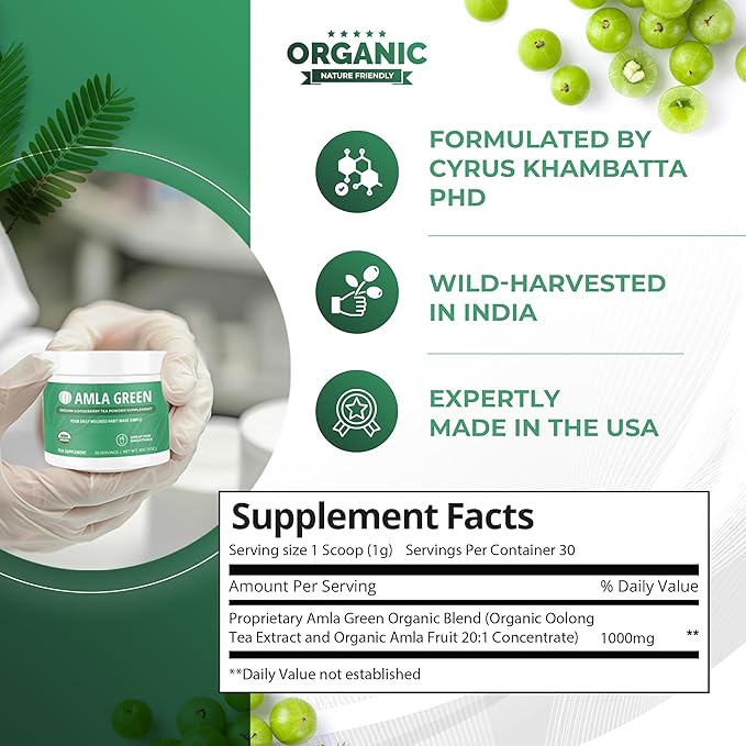 Amla Powder & Green Tea Superfood Supplement, 20x Ultra Concentrated Amla, Antioxidant Support, Made with Oolong Tea and Indian Gooseberries, Organic, Vegan, Classic Flavor, 90 Servings
