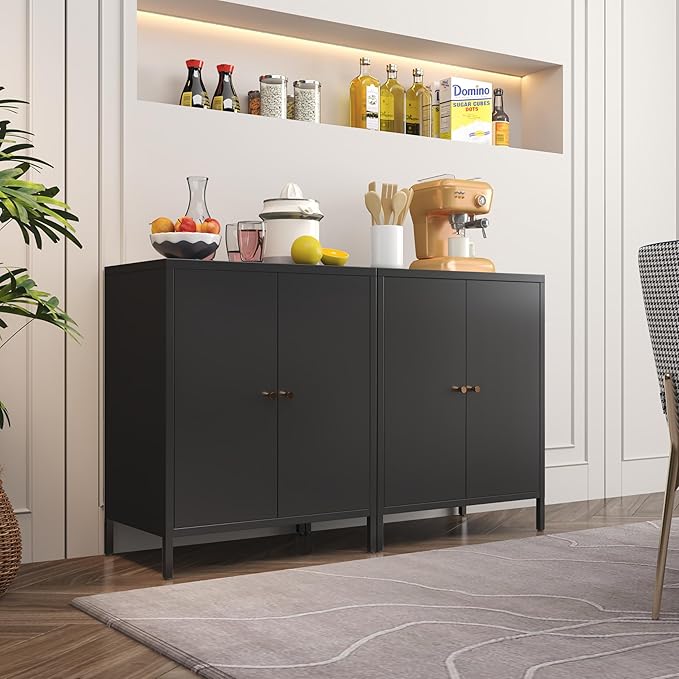 Small 2 Metal Storage Side Buffet Cabinet for Bed Room,Living Room,Entryway,Hallway,Home,Hotel,Office,Garage,Kitchen,1 Removable Shelf. (Metal Door, Black)