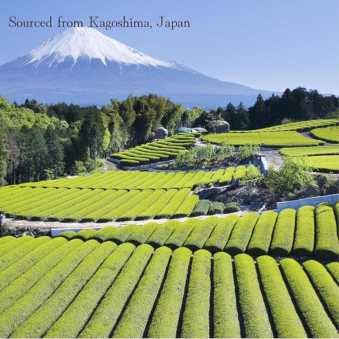 Heapwell Japanese Matcha – Premium & Ceremonial & AAA Grade Matcha Tea | Authentic Japanese Origin (1lb (453g), Premium Grade)