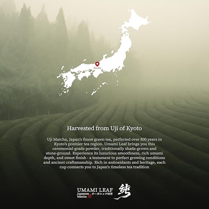 Umami Leaf Organic Japanese Ceremonial Grade Matcha - 100% Pure Green Tea Powder, USDA Certified, First Harvest, Authentic Origin From Uji, Kyoto (40g / 1.4oz Tin)