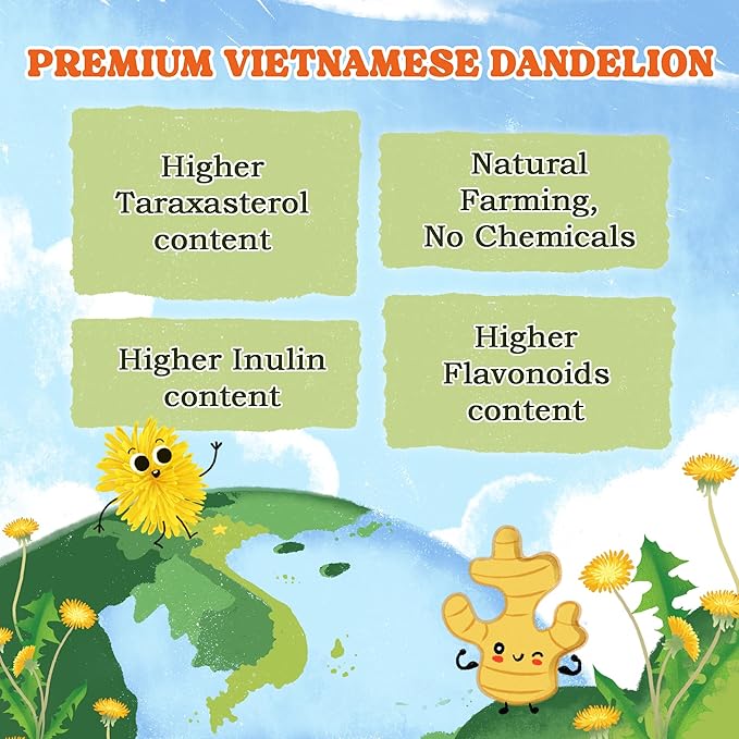 LoveinTea Dandelion Herbal Tea Bags, Detox Tea, 100% Natural Vietnamese Dandelion Blend, Caffeine-Free, Plant-Based Pyramid Bags, 30 Count