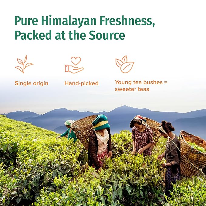 NEPAL TEA Organic Chai Tea Bags from the Himalayas, Chai Spice Blend - 15 Pyramid Tea Bags, Single Origin Chai Spice Tea from a Family Farm - Black Tea Bags, Loose Leaf Tea Inside (Nepali Breakfast)