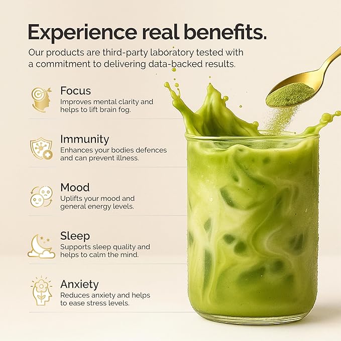 Matcha Mushroom Coffee Superfood Blend, 10X Concentrated Extract, with Lion's Mane, Reishi & Cordyceps, Energy & Focus Support, 30 Servings, Premium Supplement Powder