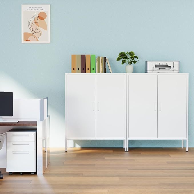 White Metal Storage Cabinet,Metal Locker Storage Cabinet with 2 Doors and Shelves,Kitchen Pantry Cabinet,Modern Storage Freestanding Organizer Rust for Home,Kitchen,Office