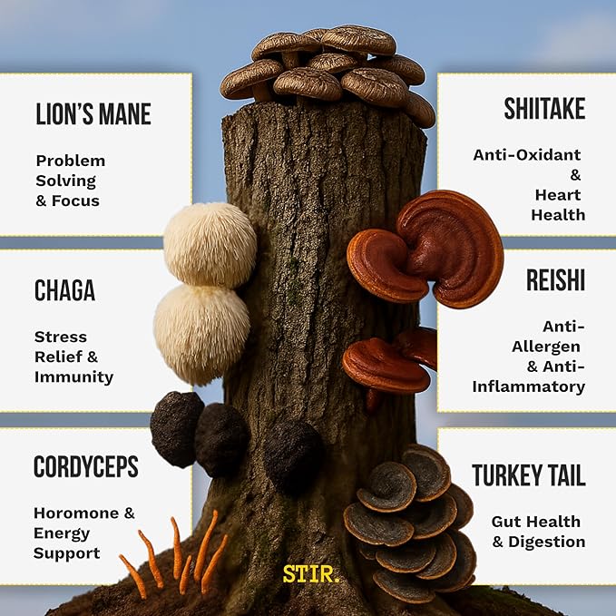 STIR Premium Instant Mushroom Coffee | Lion’s Mane, Chaga, Reishi, Cordyceps, Shiitake, Turkey Tail | Organic Cacao, Vanilla, Coconut MCTs | Focus, Energy, Digestion Support | 30 Servings