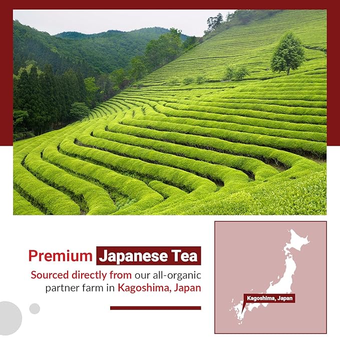 Matcha Moon Organic Matcha Style Wakoucha Black Tea Powder - Kagoshima Japan - 100g Resealable Bag