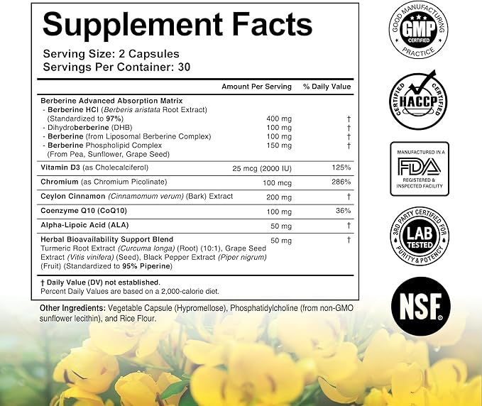 Liposomal Berberine Supplement – 3X Strength Berberine Matrix with DHB, Phospholipids, CoQ10, ALA, Vitamin D3, Chromium, Cinnamon – Advanced GLP-1 & Metabolic Support – 60 Count