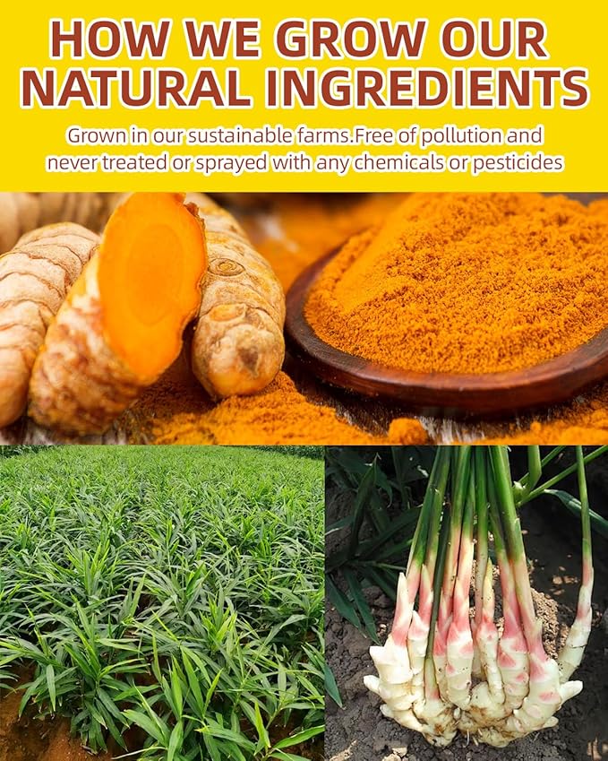 240 Premium Turmeric Ginger Cinnamon Tea Bags, 100% Natural Herbal Blend, Supports Digestion & Immune Health, No Sugar, No Caffeine, No Additives, Vegan, Premium Ingredients