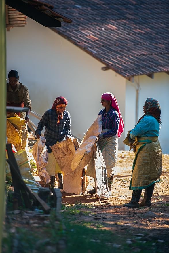 Yeri Coffee CHICORY CHIC Blend – Ground Coffee with Chicory, Dark Roast, New Orleans & South Indian Style, 12 oz Bag, Low Acidity