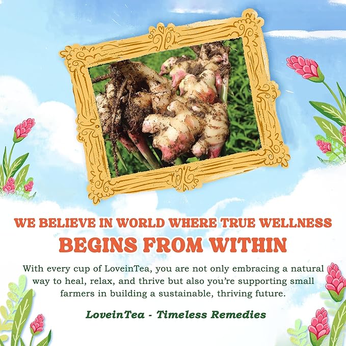 LoveinTea Ginger Herbal Tea Bags, 100% Natural Vietnamese Ginger Blend, Plant-Based Pyramid Bags, 30 Count