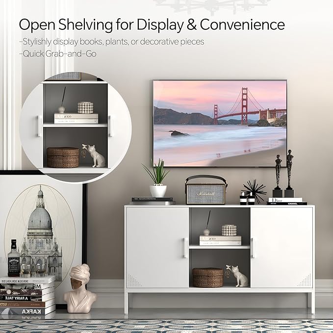TV Stand with Door and Adjustable Shelves Sideboard Buffet Cabinet Coffee Bar Metal Locker Pantry with 2 Shelves for Office Home Kitchen Living Room (White, 47.24" D x 13.78" W x 29.53" H)